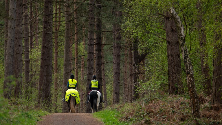 Horse riders enjoying the woodland at Clumber